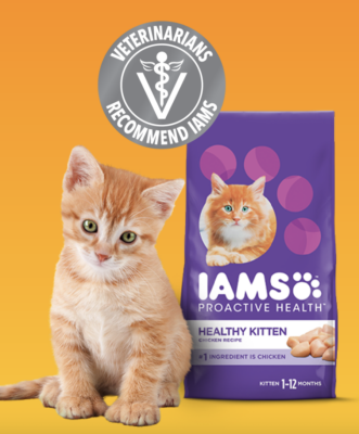 FREE IAMS Kitten Dry Food Sample